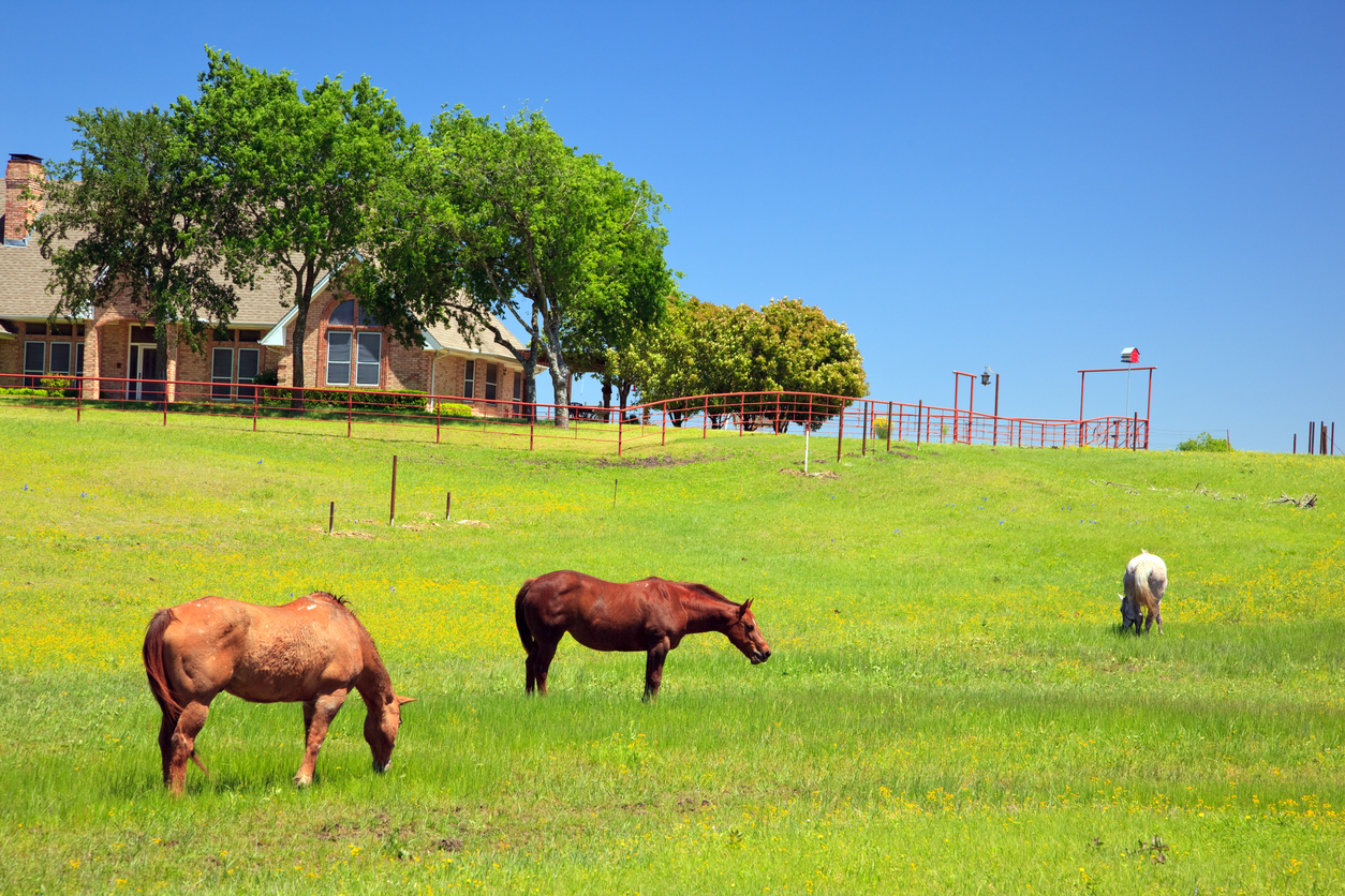 Wimberley